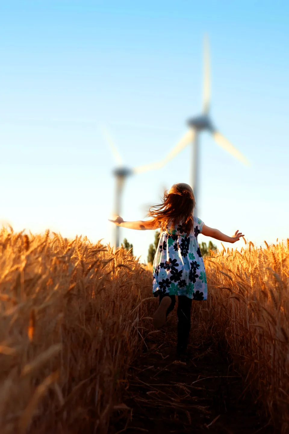 A girl running along a path through a wheat field towards wind turbines